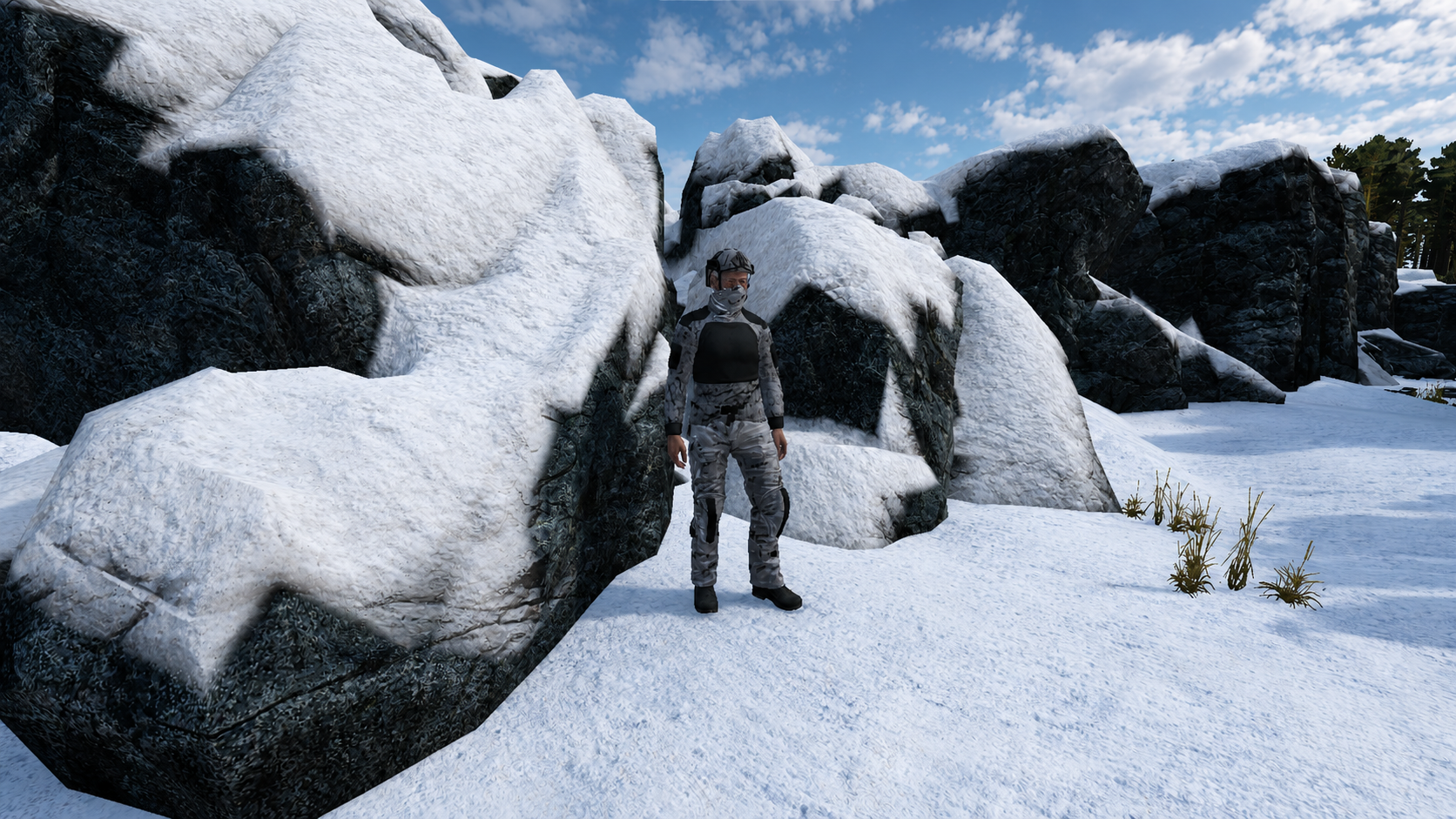 Traje Alpine Nieve